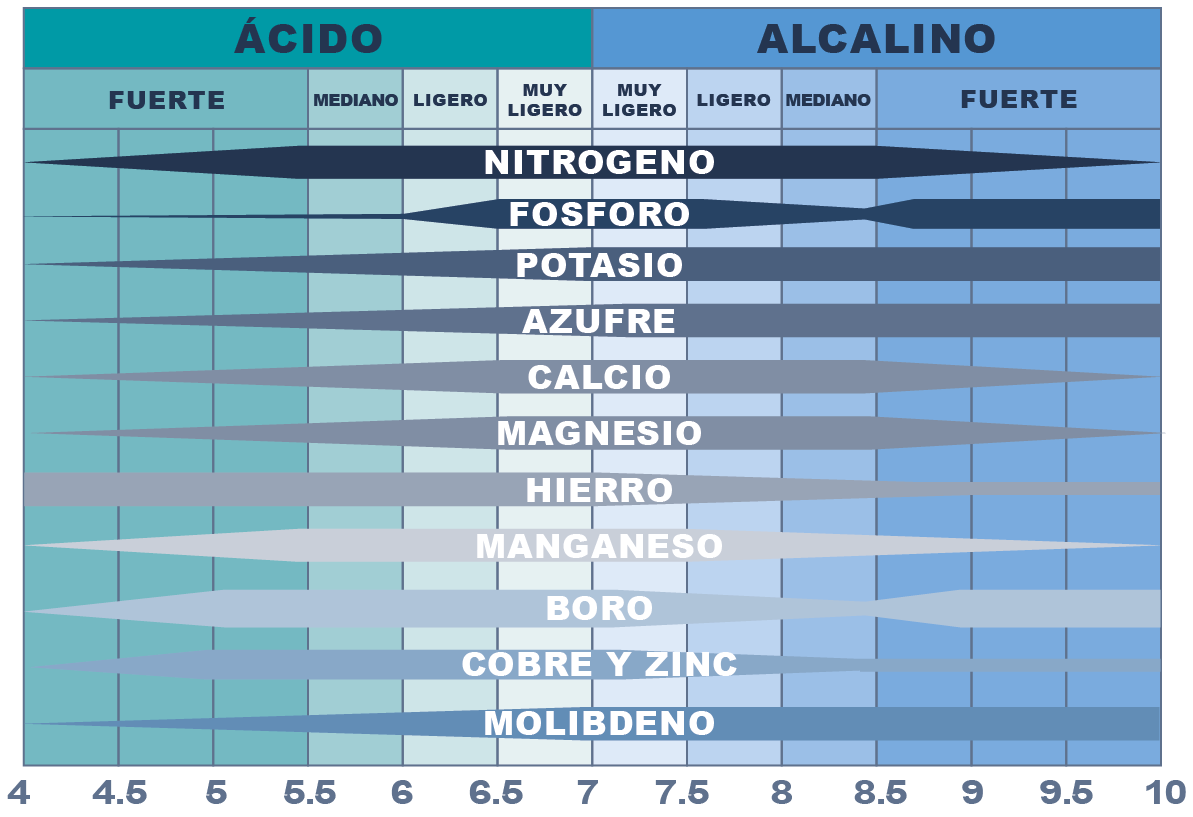 Grafica_Acido-Alcalino
